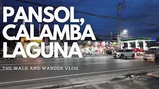 PANSOL, CALAMBA LAGUNA WALK TOUR 4K 60FPS