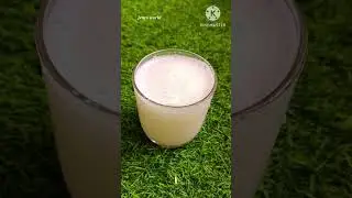 കറിവേപ്പ് ഭ്രാന്ത് പിടിച്ചതുപോലെ തഴച്ചു വളരാൻ ഇത് ഒരൊറ്റ ഗ്ലാസ് മതി /Curry leaves fertilizer #shots