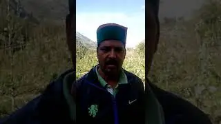 Dileep Sharma feedback about Dormex