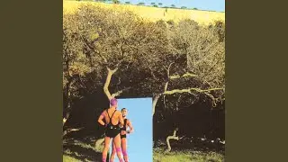 Perdi a memória