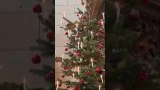 Lighting a Christmas tree with real candles in Switzerland| @sciencepaglu