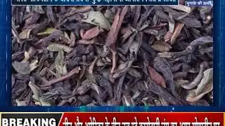 #pakistan #tea #export पाकिस्तान को नहीं मिलेगी भारतीय चाय ! | Commodity Market Updates