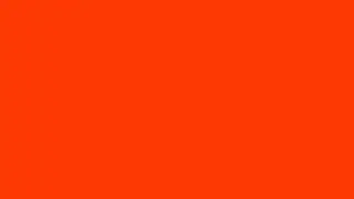PUMPKIN ORANGE SCREEN 1 HOUR