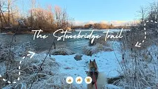 A Beautiful snowy hike on the Stonebridge Trail