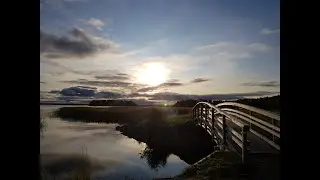 Kaarisilta Aale Tynni