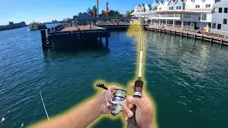 Fishing the Queens Wharf in Newcastle
