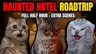 CAT MEMES: THE HAUNTED HOTEL FULL 30 MINUTES COMPILATION| FAMILY ROADTRIP SPECIALS