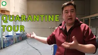 New Discus & Goldfish Quarantine Tour