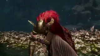 Elden ring ng5 malenia for random pl,great skill