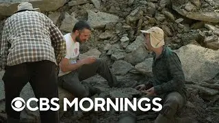 Two English fossil hunters discover unprecedented collection
