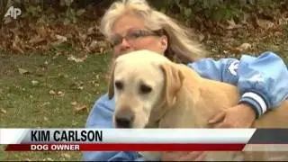 Firefighter Saves Dog With Mouth-To-Nose Resuscitation!