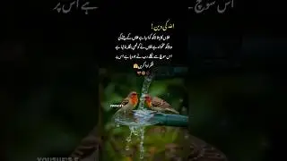 true words 🥀 ||Emotional Urdu Thoughts | Heart Touching Lines #viralvideo #shorts