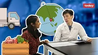 The nutrition test: Are food imports from nearby countries always fresher?