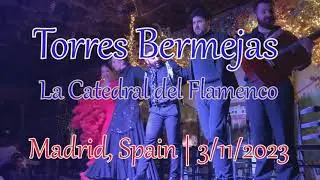 Torres Bermejas La Catedral del Flamenco Madrid Highlight - 3/11/2023