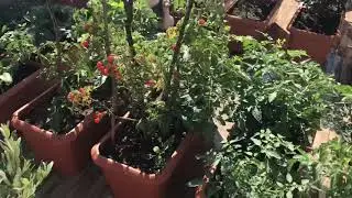 Evde hobi bahçesi
