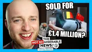 Why a PIGEON Sold for &pound;1.4M | ft. Dan Pidgeon