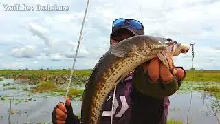 Oasiz 5,2cm Specialis Penggoda Babon PART 2 - Casting Ikan gabus - Casting Haruan - Chatcing Fish