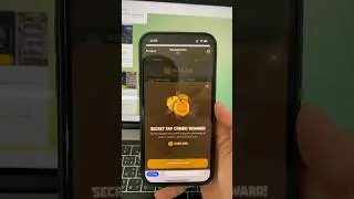 Инструкция как вводить комбо в MemeFi.