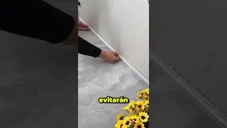 El protector para puertas que todos deber&iacute;an tener
