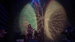 Sugar Candy Mountain - Windows @ Night On Broadway 2018
