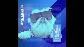Episode 31: Underbite Radio presents -  IN MUSIC WE VIBE - Episode 031 - hosted by ALONSO MENDEZ