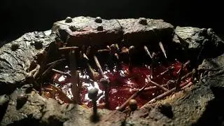 THE PIT #mordheim #diorama  #pit #blood #wargaming  #chaos