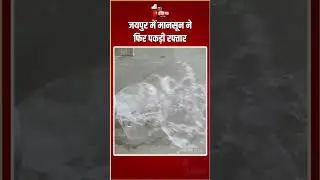 Rajasthan Weather Update: जयपुर में मानसून ने फिर पकड़ी रफ्तार | Heavy Rain In Jaipur | Monsoon 2025