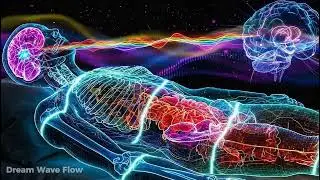 432Hz + 528Hz + 741Hz Deepest Healing Sleep: Whole Body Regeneration, Stress Relief | #37🎶