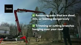 Tree Cutting in Monticello, NY | Mike&rsquo;s Outdoor Maintenance & Tree Removal
