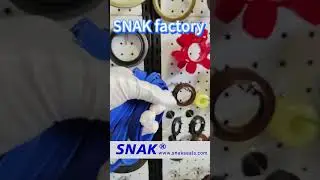 hydraulic oil seal