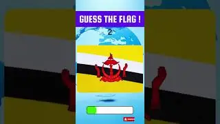 Guess The Flags 🏁  Part 11 #flagquiz #shorts