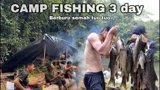 PETUALANGAN MENCARI IKAN SEMAH: Camping Seru & Makan Besar di Tengah Hutan