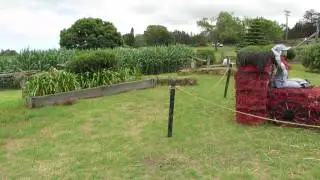 Kula Country Farms