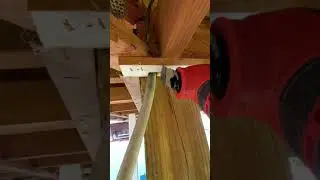 Cutting trim around electrical conduit