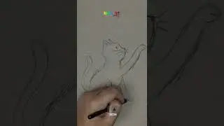 How to Draw a Cute Cat Step by Step! │ SSM Art