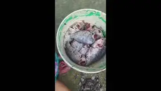 দাদার আমলের পুকুর 