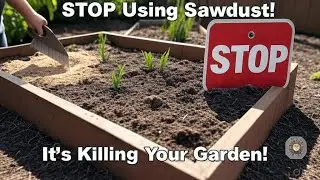 Stop Using Sawdust in Your Raised Bed &ndash; This Is What You Aren&rsquo;t Being Told