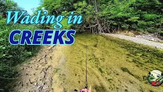 Can't believe it's the LAST one: Italy Creek Ultralight Fishing
