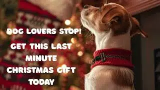 Dog Lovers Are OBSESSED With This Christmas Coloring Book 🎄🐶 -- It's The Perfect Stocking Stuffer!