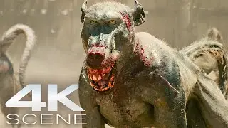 🔥 Rabid Monkeys vs Gladiators | Epic Fight Scene | Gladiator 2 (4K UHD) 🔥