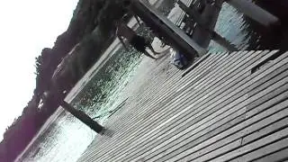 SDC11033