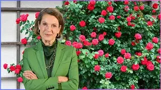 Caroline Schreiber stellt sich vor I Rote Rosen