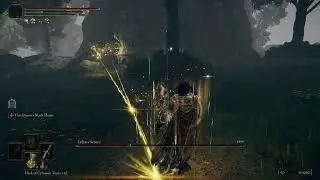 Elden Ring Convergence NG+0 Erdtree Sentry East Limgrave