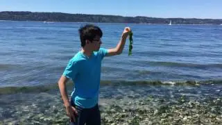 160724 Edmonds Beach Park