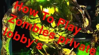 How To Play Private Match in Cold War Zombies (Call of Duty Black Ops Cold War)