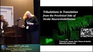 Tribulations in Translation from the Preclinical Side of Stroke Neurorehabilitation