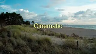 Carl Zeiss Jena 35mm f2.4 Flektogon Lens - Filmmaking Test [Sony A7R III]