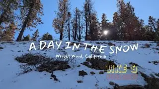Wright Wood Winter Wonderland | Snow Much Fun in Wright Wood | A Snowy Escape | Los Angeles, CA