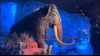 🥶ICE AGE EXPERIENCE! T-Rex Restaurant || Eating With Dinosaurs 🦖 ￼