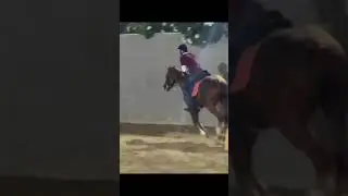 Horse Riding | Day - 18 Cantering #hobbies #horse #ridingarena